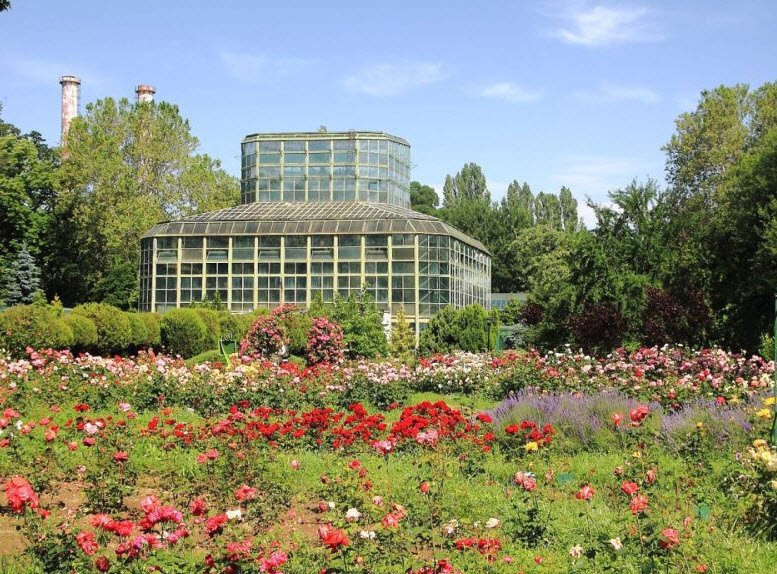 "Dimitrie Brândză" Botanical Garden, Bucharest, Romania, Romania
